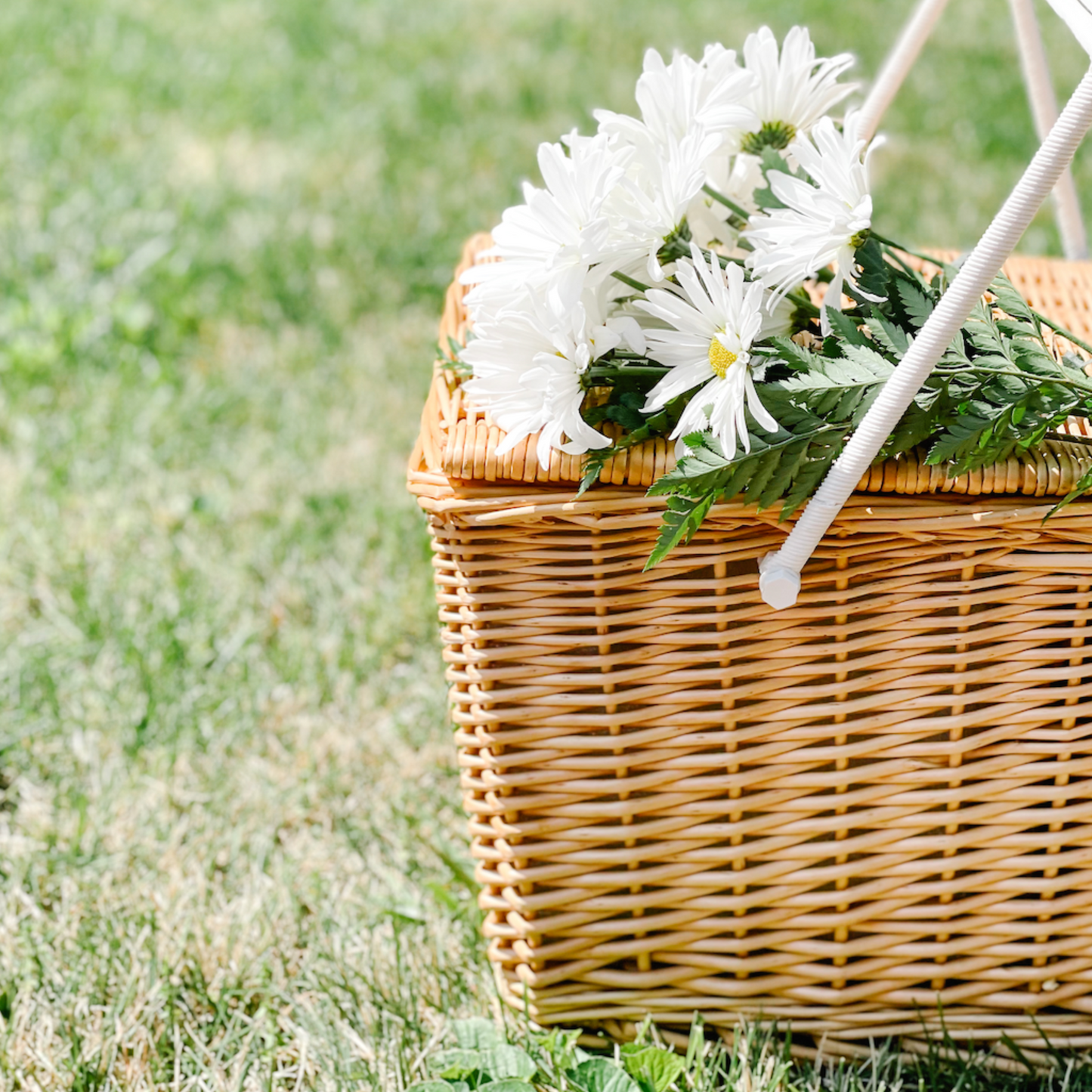 Picnic Basket Cooler