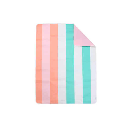 Multi Stripe Picnic Blanket